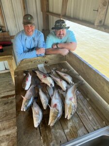 IMG_3794_20240202_095110