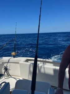 IMG_3928_20240202_095110