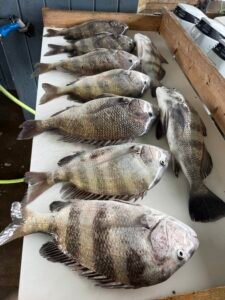 fishingpic2